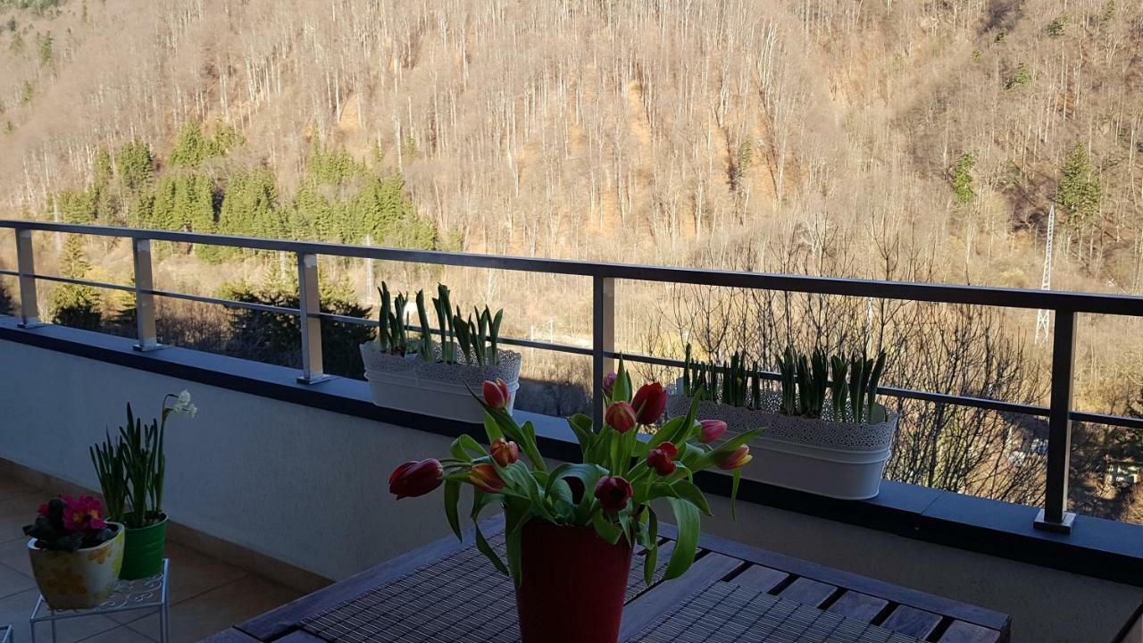 George Apartment Sinaia Dış mekan fotoğraf