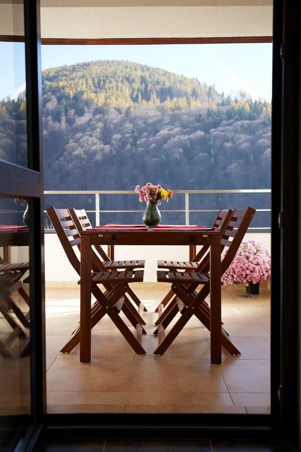 George Apartment Sinaia Dış mekan fotoğraf